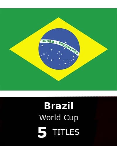 Brazil World Cup Winner